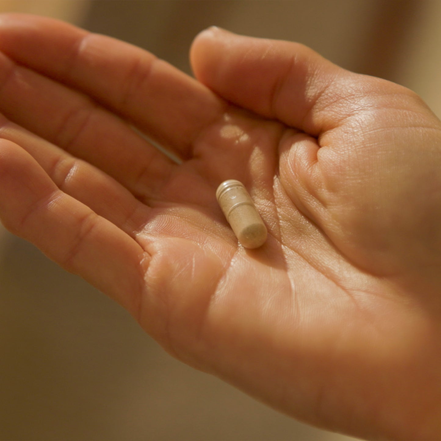 AM Boost + Burn Supplement