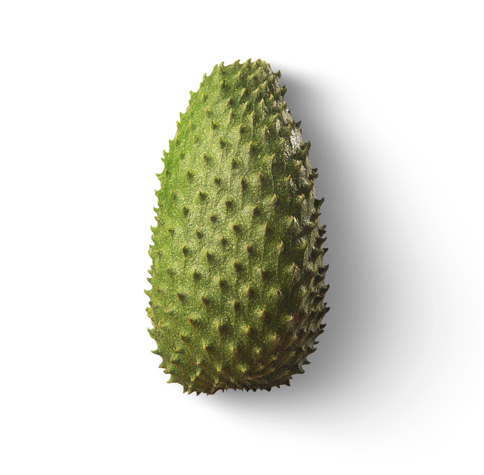 Graviola Fruit