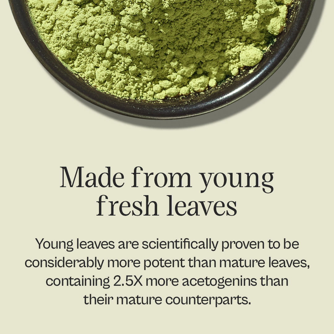 Graviola + Shilajit Supplement