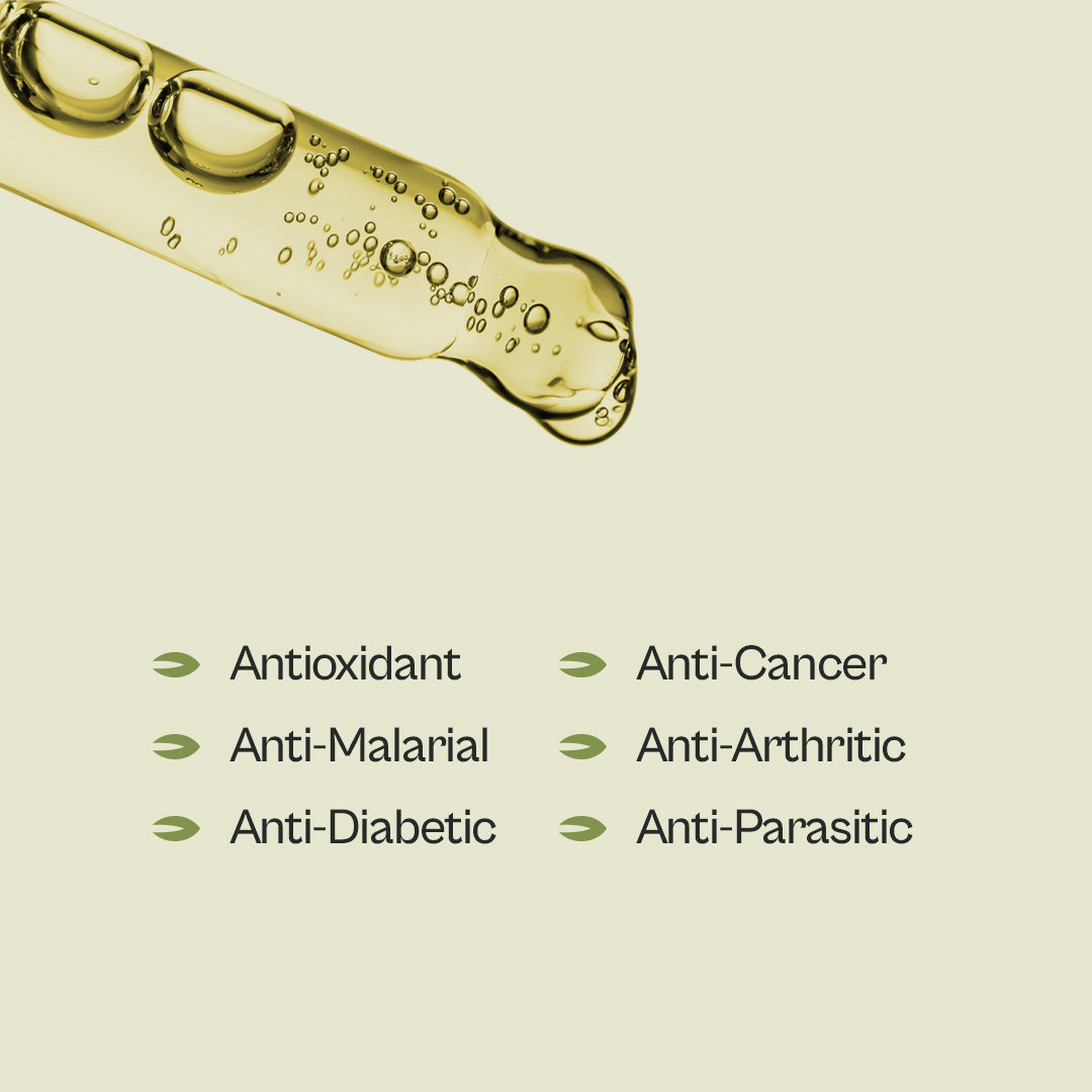 Graviola Leaf Tincture